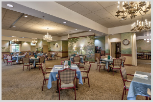 Inland - Midwest Senior Living Portfolio DST (3)